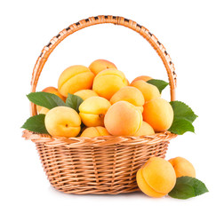 fresh apricots in a basket isolated on white background