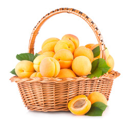 fresh apricots in a basket isolated on white background