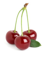 Ripe cherries