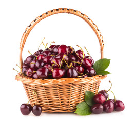 Fototapeta na wymiar ripe cherries in a basket isolated on white background