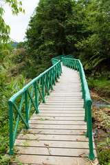 wooden bridge in forest