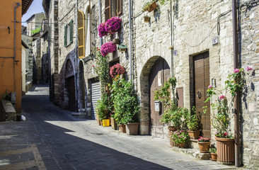 Fototapeta na wymiar Italian typical houses