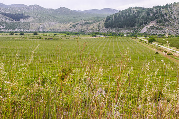 Fototapeta premium Rural tourism