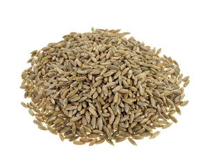 Rye grains on white background