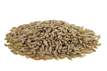 Rye grains on white background
