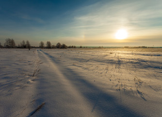 Beautiful winter landscape with snow covered trees