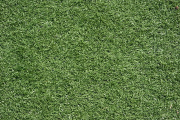 Obraz premium Lawn football field (soccer field). Realistic textured grass