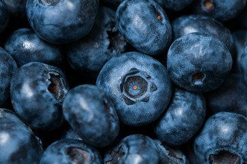 Blueberries background. Macro.