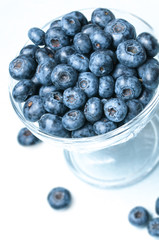 Blueberries on the white background.
