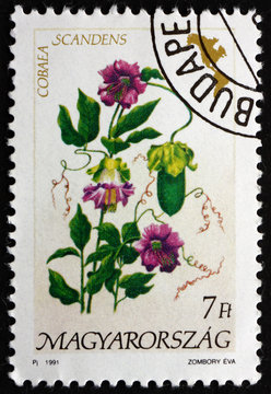 Postage stamp Hungary 1991 Cathedral Bells, Flowering Plant