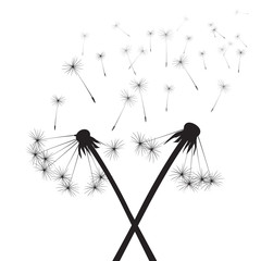 black vector dandelions