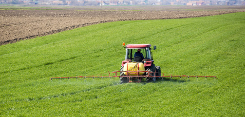 Fototapeta premium Tractor spraying wheat field with sprayer