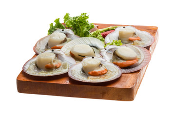 Raw fresh scallop