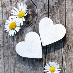 Zwei weiße Herzen & Gänseblümchen