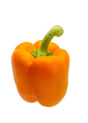 Orange Bulgarian pepper