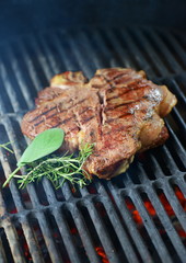 Beef steak grilled on a bbq, florentine t-bone beef steak.
