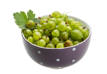 Gooseberries