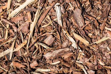 Wooden mulch