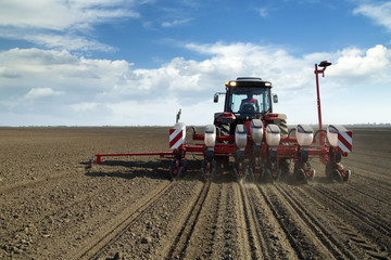 Fototapeta premium Farmer in tractor sowing corn maize crops
