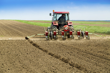 Obraz premium Young farmer sowing crops at field