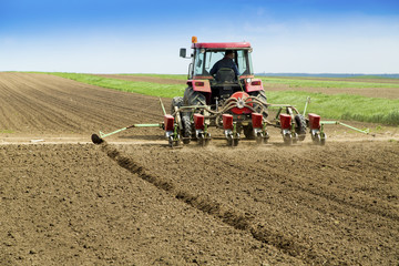 Young farmer sowing crops at field