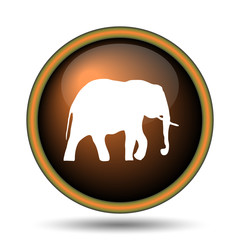 Elephant icon
