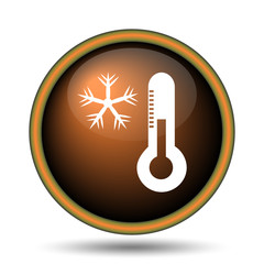 Snowflake with thermometer icon