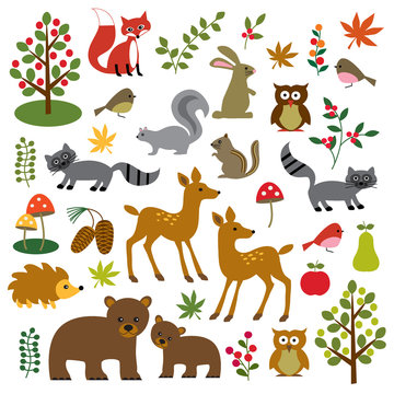 woodland wildlife clipart