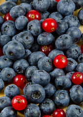 Red currants and blueberries