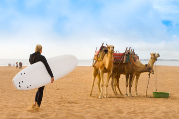 Beach of Essaouira, Morocco, Africa. - obrazy, fototapety, plakaty
