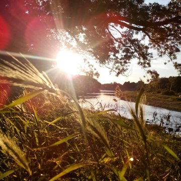 Sunset over Uzh river, Ukraine