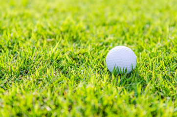 Golf ball on green grass