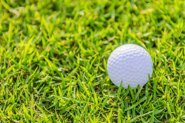 Golf ball on green grass