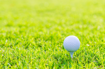 Golf ball on green grass