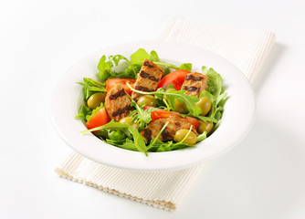 Grilled patty with fresh vegetable salad