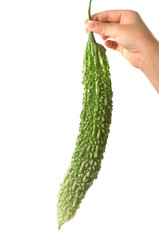 Asian chiild hand holding a Momordica charantia, bitter melon is