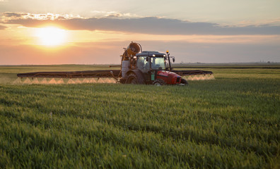 Spraying wheat crops field with tractor and sprayer - obrazy, fototapety, plakaty