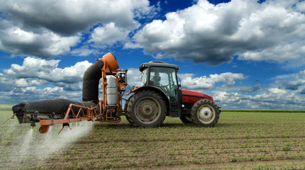 Fototapeta premium Tractor spraying soybean crops field with sprayer, pesticides