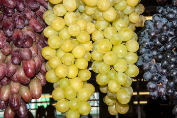 Selling grapes on the market