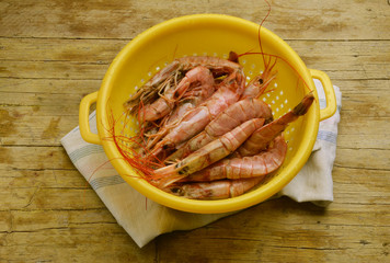 Camarão Gamberi Crevettes Shrimps 虾 Garnelen روبيان Gamba