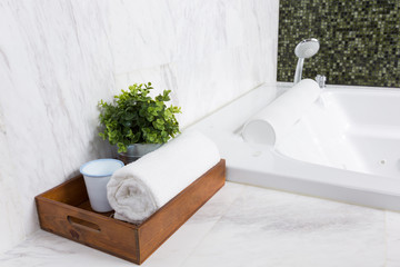Modern bathtub