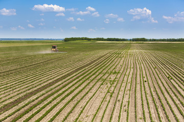Spraying soybean field at spring.