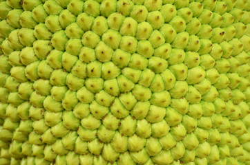 Texture of jackfruit