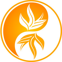 Orange leafy Yin yang