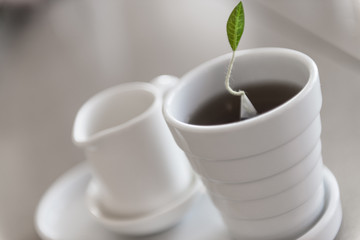 gourmet tea with leaf detail