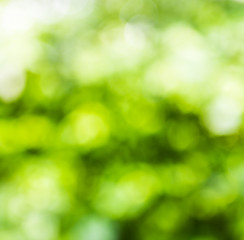 Obraz premium Abstract bokeh background