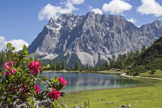 Seebensee mit  Zugspitze