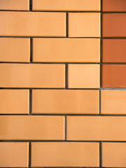 Obraz premium Two colors brick wall