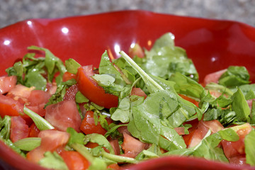 tomatoes salad with arugula