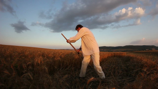 Peasant reaping wheat with a scythe